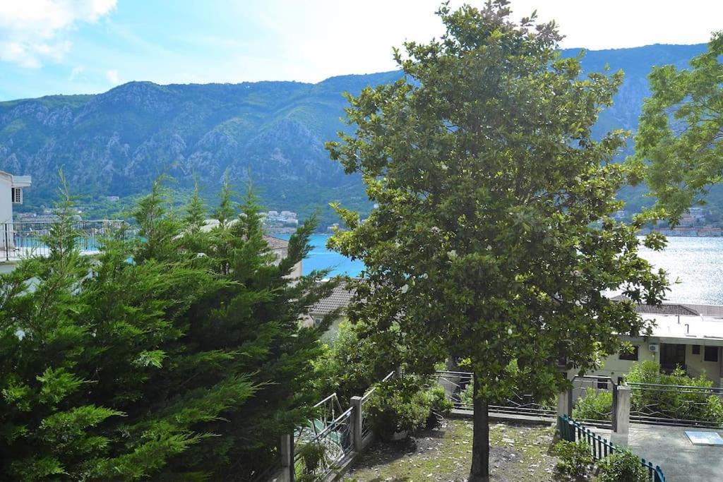 Urban Escape For Two In Kotor Appartement Buitenkant foto